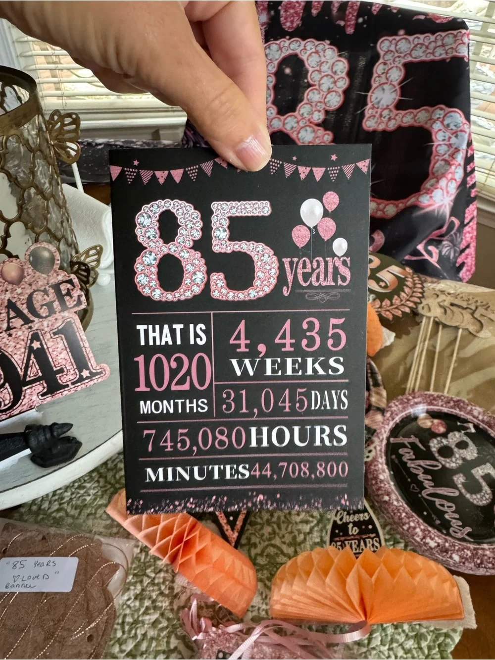 85th Birthday Pink and Rose Gold Party Decorations - 85th Birthday Set!